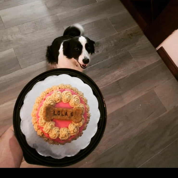 Good Girl Cake